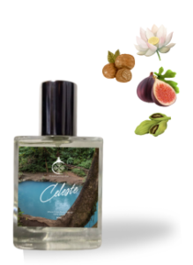 Celeste – Where Fresh Meets Elegance.