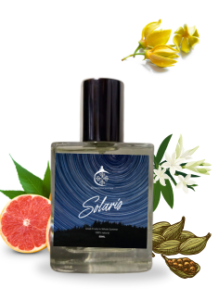 Solaris – Radiate Boldly A Summer Awakening.